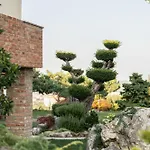 Garden Appartamento *