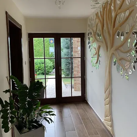 Garden * 佐洛埃格塞格