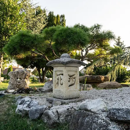 Garden 佐洛埃格塞格