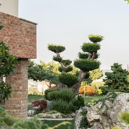 Garden Lejlighed *