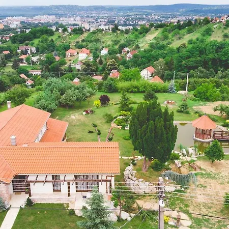 Garden Lägenhet Zalaegerszeg