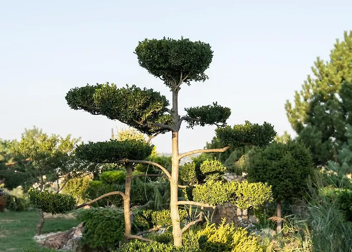 Garden * 절러에게르세그